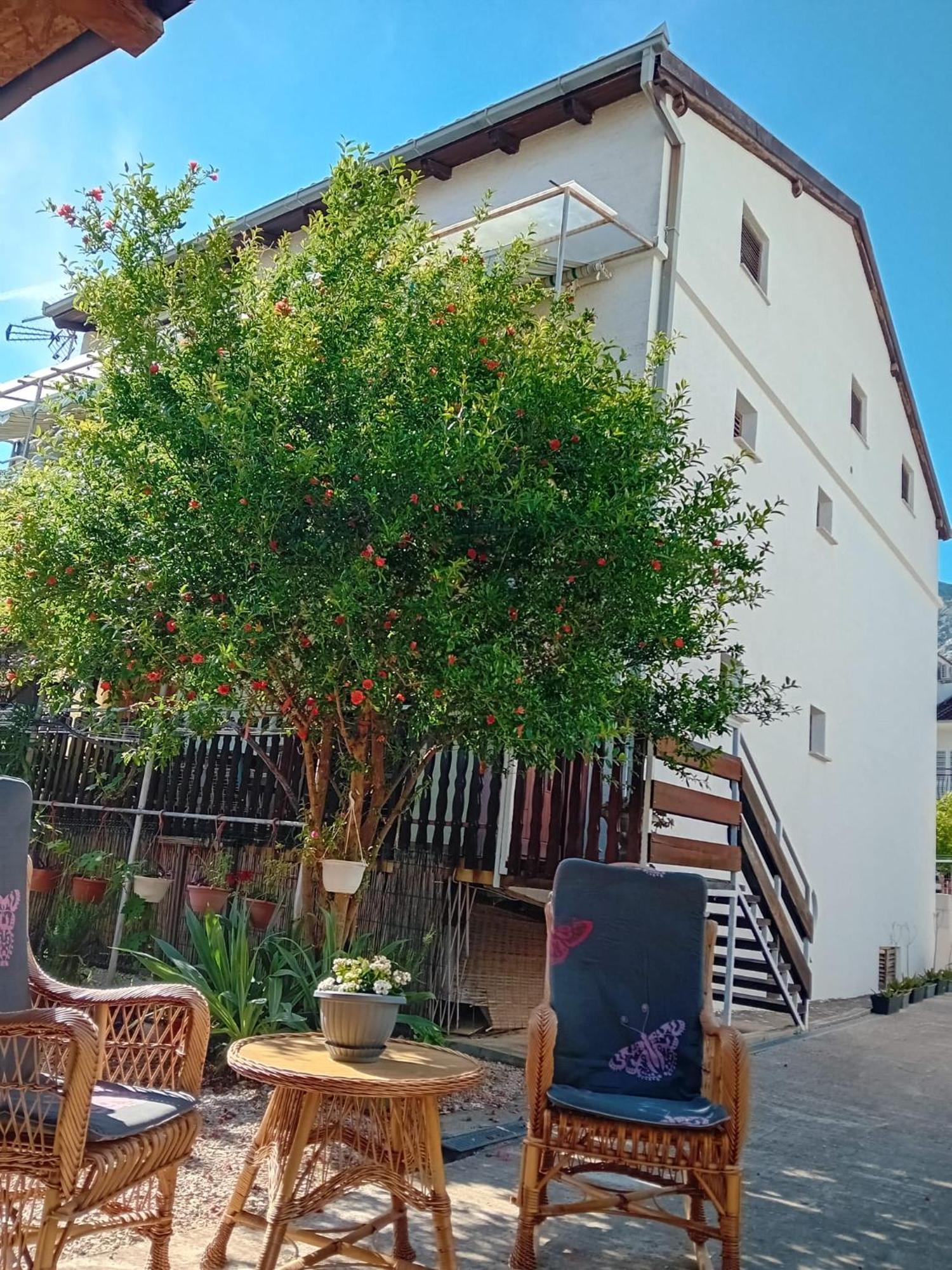 Apartments Vidic أوروبيتش المظهر الخارجي الصورة