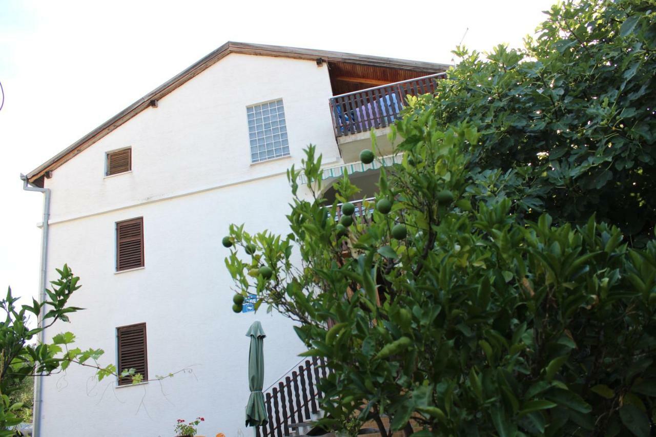 Apartments Vidic أوروبيتش المظهر الخارجي الصورة